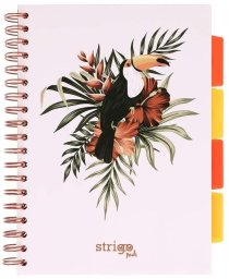 Strigo Kołozeszyt Pads B5/100K kratka Tropiki Pelikan