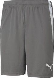 Puma teamLIGA szare 704924 13 L