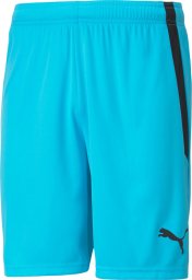 Puma Spodenki męskie Puma teamLIGA błękitne 704924 40 S