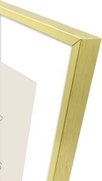 Ramka Focus Aster Gold 20x25/PP 15x20