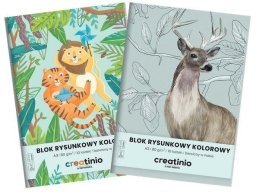 TOP-2000 Blok rysunkowy A3/10K kolorowy Creatino (10szt) EDUKAMP