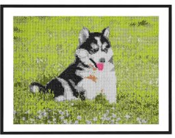 Artist CCG diamentowa mozaika Pies 40x50 CR2099 11384