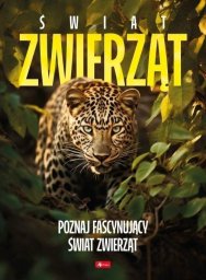 Dragon Świat Zwierząt EDUKAMP