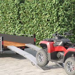vidaXL vidaXL Składana rampa 200kg na rampę 2 pcs Srebrny 166 x 23 x 4,5 cm
