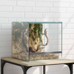 vidaXL vidaXL Terrarium z przechowywaniem przezroczysty 30 x 30 x 30 cm Szkło