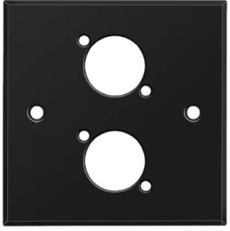 Crestron Panel montażowy Teriux TWP-2-BK (5904261415625)