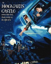 Ideyka Malowanie po numerach -Harry Potter lot samochodem