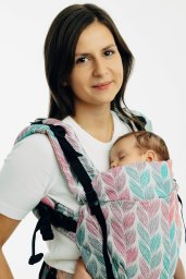 Wózek LennyLamb Nosidełko regulowane - LennyUpGrade Pro: Zaplątani Plait Regulowane