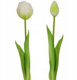 Saska Garden BUKIET 5 TULIPANÓW PIWONIOWYCH BIAŁYCH 39CM JAK ŻYWYCH DEKORACJA WIOSENNA