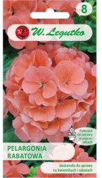 Legutko Pelargonia Gama F1 - łososiowa