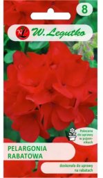 Legutko Pelargonia rabatowa Gama F1 - czerwona