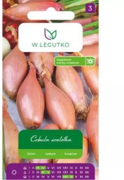 Legutko Cebula szalotka Zbrune