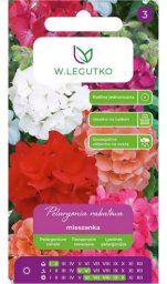 Legutko Pelargonia F2 mieszanka