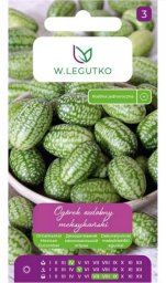 Legutko Ogórek ozdobny meksykański