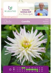 Legutko Dalia Camilla kremowa 1szt.