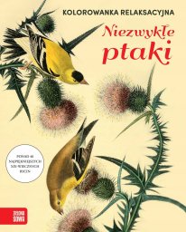 Zielona Sowa Kolorowanka relaksacyjna Ptaki 84684