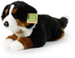 Rappa Pluszowa realistyczna maskotka Berneński Pies Pasterski leżący 34 cm