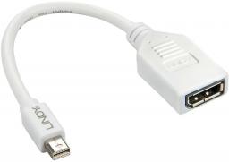 Adapter AV Lindy DisplayPort Mini - DisplayPort biały (41021)