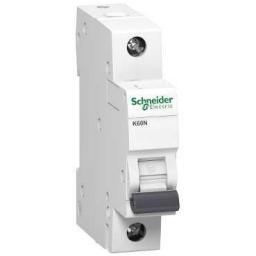  Schneider Electric Wyłącznik nadprądowy K60N-C13 - A9K02113