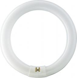 Świetlówka kompaktowa Philips Master TL-E Circular Super GR10q 22W (8727900840537)