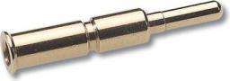 Lapp Kabel Styk męski zagniatany EPIC M23 SCEM 2mm AU 1.0-2.5 (72401000)