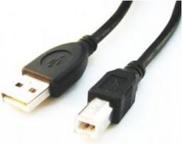 Kabel USB Gembird USB-A - USB-B 3 m Czarny (CCPUSB2AMBM10)