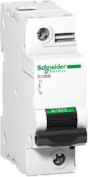  Schneider Electric Wyłącznik nadprądowy 1P C 100A 10kA AC C120N (A9N18358)