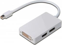Adapter AV Digitus DisplayPort Mini - DisplayPort - HDMI - DVI biały (AK-340509-002-W)