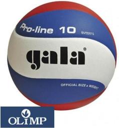 GALA Piłka siatkowa BV5581 Pro-Line replica (019D001300250)