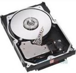 Dysk serwerowy IBM 1TB 2.5'' SATA III (6 Gb/s)  (81Y9730)