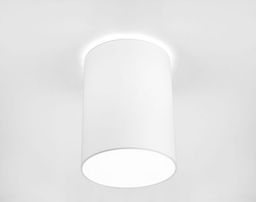 Lampa sufitowa Nowodvorski Cameron 1x25W (9685)