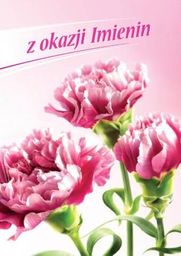Artnuvo Karnet B6 imieninowy