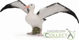 Figurka Collecta Albatros Wędrowny