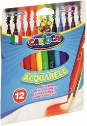  Carioca Pisaki Acquarel 12 kolorów (293261)