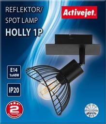 Lampa sufitowa Activejet Aje-Holly 1x40W  (AJE-HOLLY 1P                   )