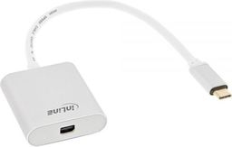 Adapter USB InLine USB-C - DisplayPort Mini Biały  (64105S)