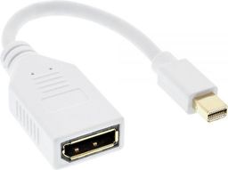 Adapter AV InLine DisplayPort Mini - DisplayPort biały (17150W)
