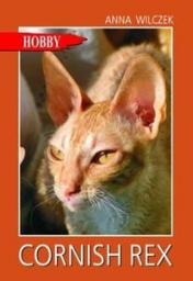 Cornish Rex -Pluszowy Kot