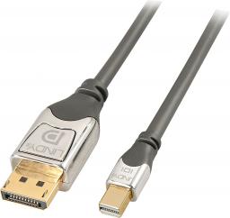Kabel Lindy DisplayPort Mini - DisplayPort 2m srebrny (36312)