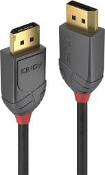 Kabel Lindy DisplayPort - DisplayPort 2m czarny (36482)