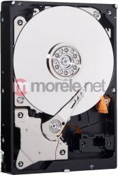 Dysk Western Digital Caviar Black 500 GB 3.5" SATA III (WD5003AZEX)