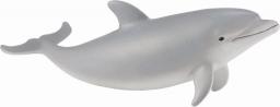 Figurka Collecta Młody Delfin Butlonosy (004-88616)