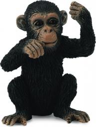 Figurka Collecta Szympans młody myślący (004-88495)