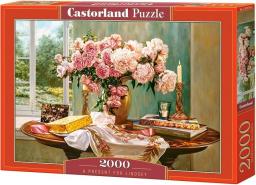  Castorland Puzzle 2000 elementów - Prezent dla Lindsey (200719)