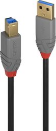 Kabel USB Lindy USB-A - USB-B 2 m Czarny (36742)