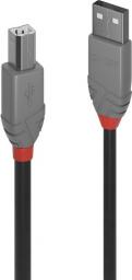 Kabel USB Lindy USB-A - USB-B 3 m Czarny (36674)