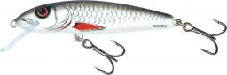 Salmo Minnow floating 5cm (QMW001)