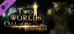  Two Worlds II - Call of the Tenebrae PC, wersja cyfrowa 