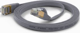 Wantec Wantec flates CAT6A FTP Patch Cable - 0,25 m - Cat6a - F/UTP (FTP) - RJ- 45 - RJ- 45 - gray (7073)