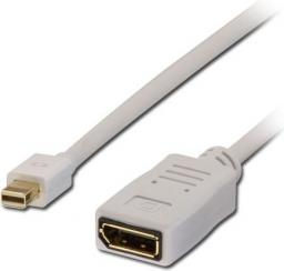 Kabel Lindy DisplayPort Mini - DisplayPort 1.5m biały